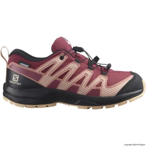 کفش سالومون XA PRO V8 CLIMASALOMON™ WATERPROOF J 416144 اصل