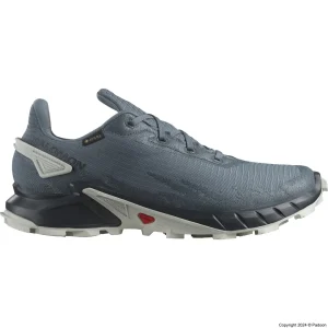 کفش سالومون ALPHACROSS 4 GORE-TEX 471168 اصل