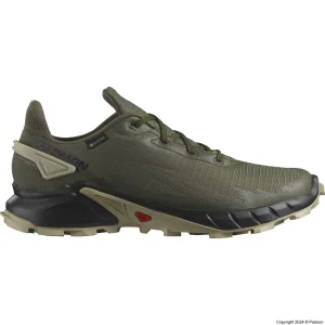 کفش سالومون ALPHACROSS 4 GORE-TEX 471169 اصل