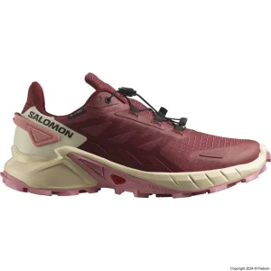 کفش سالومون SUPERCROSS 4 GORE-TEX W 473168 اصل