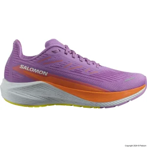 کفش سالومون AERO BLAZE 2 W 474263 اصل