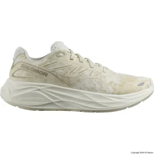 کفش سالومون AERO GLIDE 2 W 474268 اصل