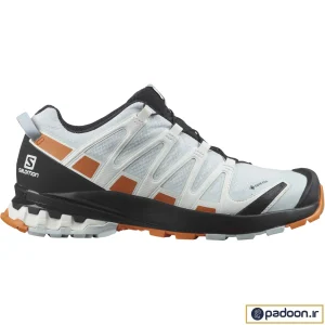 کفش سالومون XA PRO 3D v8 GORE-TEX W 415641 اصل